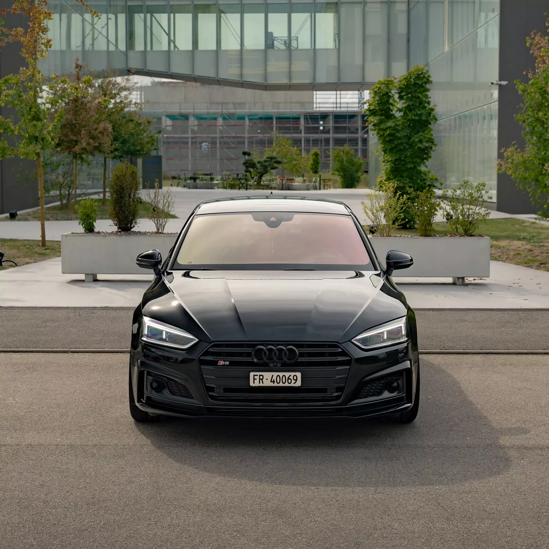 Audi S5, photo 2